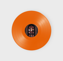 Load image into Gallery viewer, Indications - Self Titled 12" LP