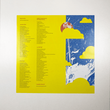 Load image into Gallery viewer, Anchoress - Stay Positive 12" LP