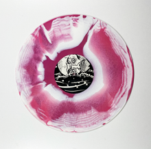 Load image into Gallery viewer, Stuttr - Stuck in the Muck 12" EP