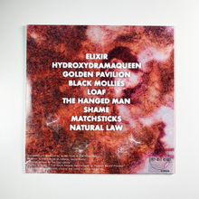 Load image into Gallery viewer, The Dog Indiana - Burnt Ends 12" LP